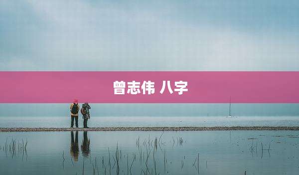 曾志伟 八字