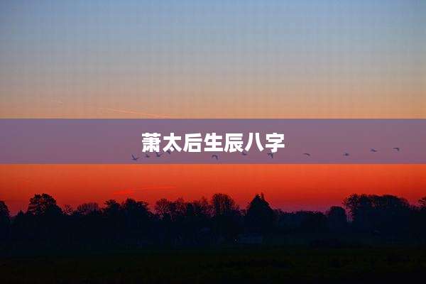 萧太后生辰八字