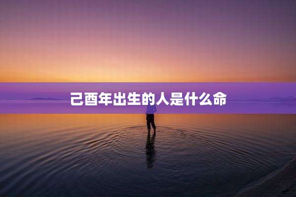 己酉年出生的人是什么命
