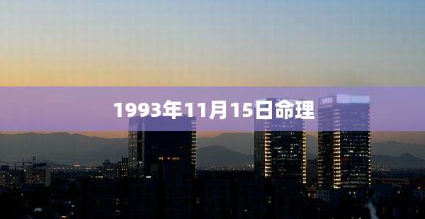 1993年11月15日命理