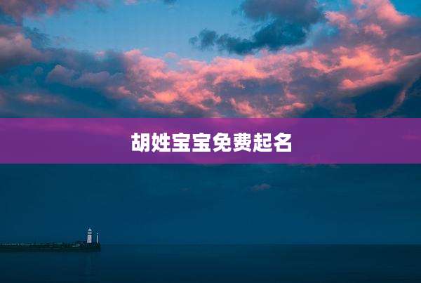胡姓宝宝免费起名