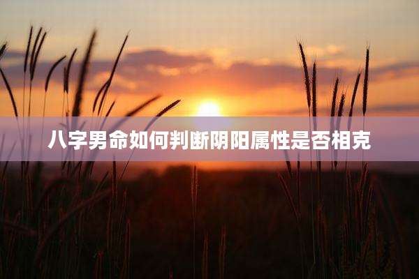 八字男命如何判断阴阳属性是否相克