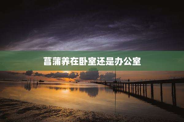 菖蒲养在卧室还是办公室