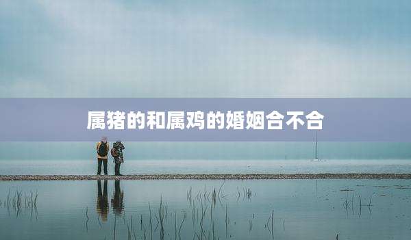 属猪的和属鸡的婚姻合不合