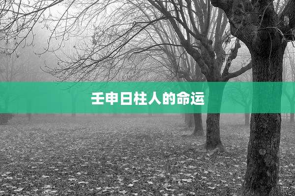 壬申日柱人的命运