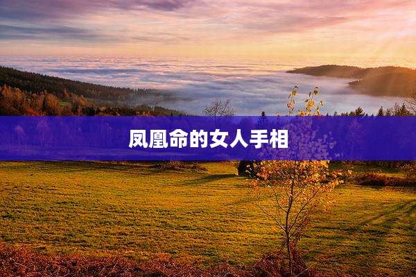 凤凰命的女人手相