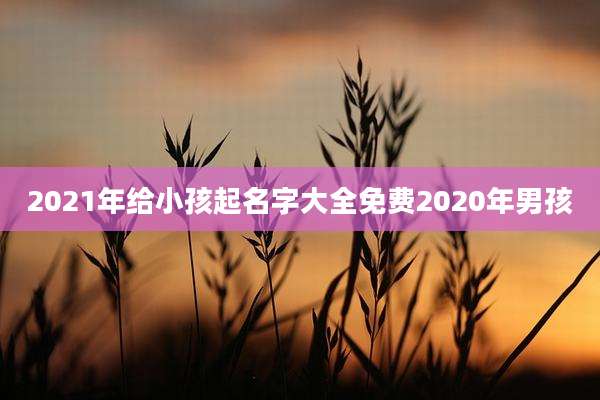 2021年给小孩起名字大全免费2020年男孩