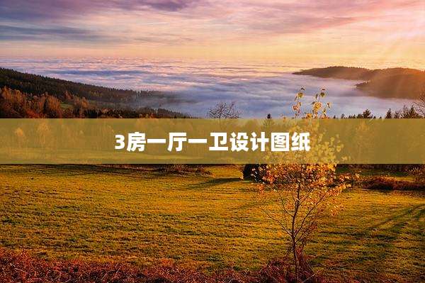 3房一厅一卫设计图纸