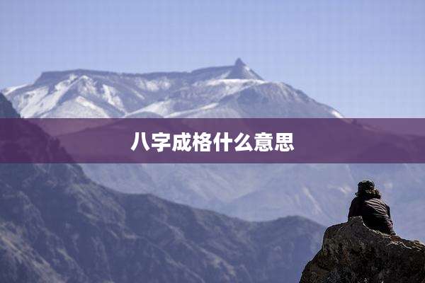 八字成格什么意思