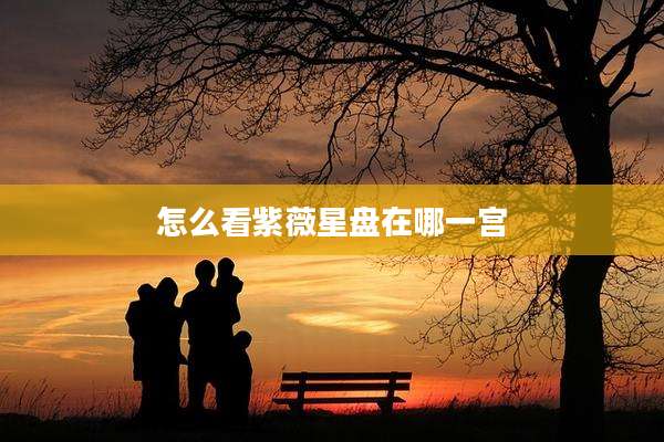 怎么看紫薇星盘在哪一宫