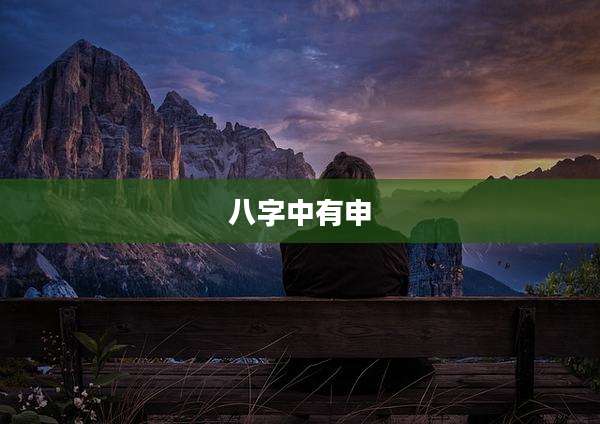 八字中有申