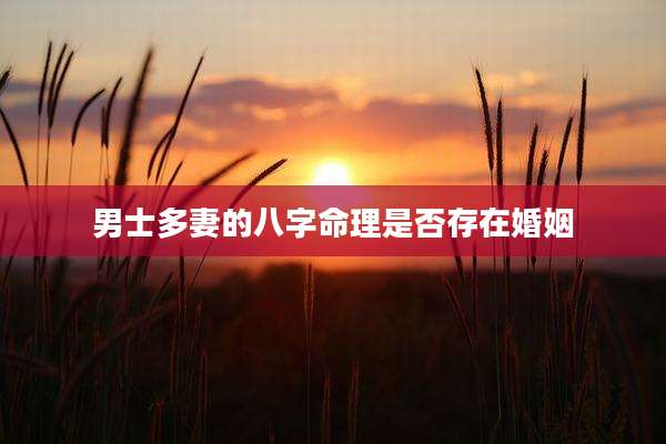 男士多妻的八字命理是否存在婚姻