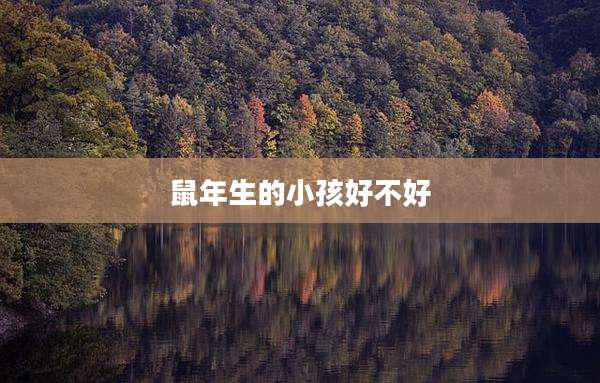 鼠年生的小孩好不好
