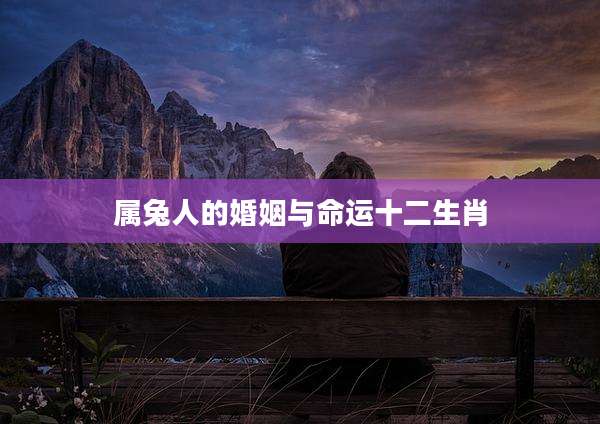 属兔人的婚姻与命运十二生肖