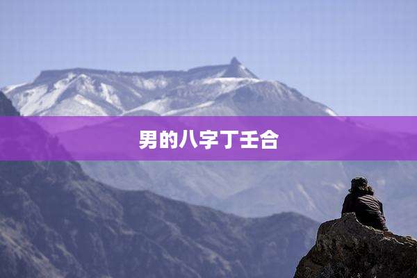 男的八字丁壬合