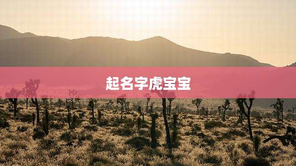 起名字虎宝宝