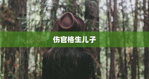 伤官格生儿子