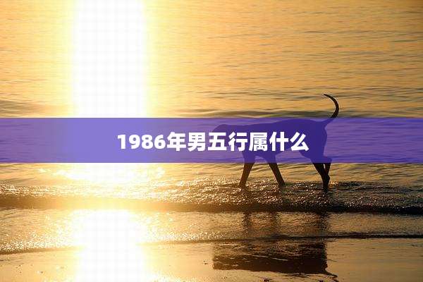 1986年男五行属什么