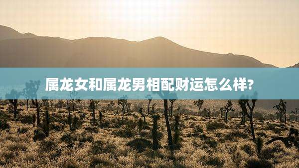 属龙女和属龙男相配财运怎么样?