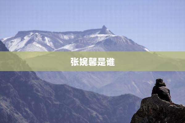 张婉馨是谁