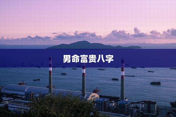 男命富贵八字