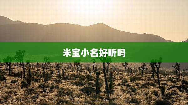 米宝小名好听吗