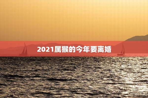 2021属猴的今年要离婚