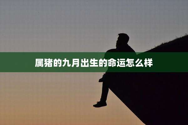 属猪的九月出生的命运怎么样