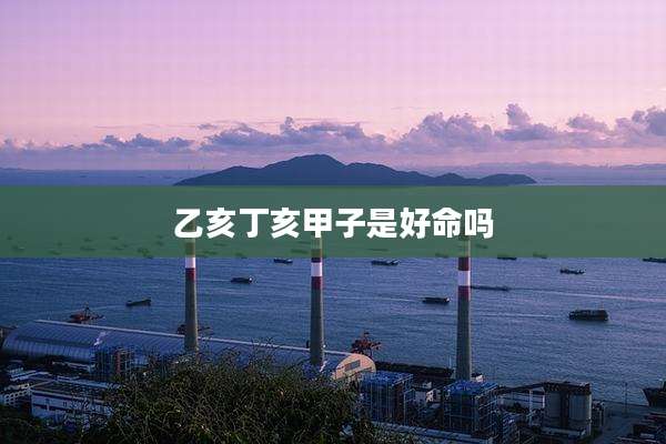 乙亥丁亥甲子是好命吗