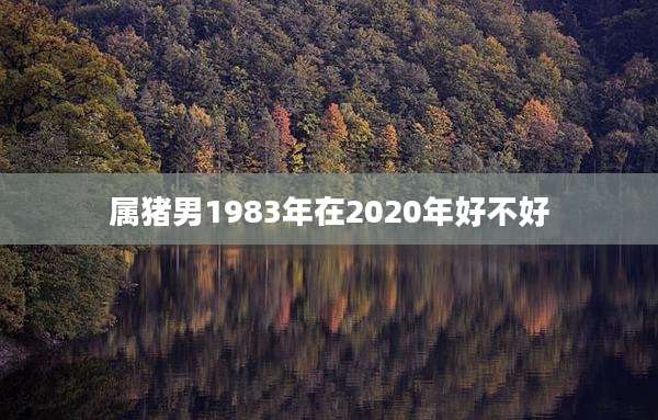 属猪男1983年在2020年好不好