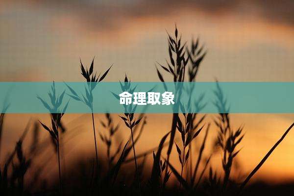 命理取象