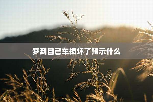 梦到自己车损坏了预示什么