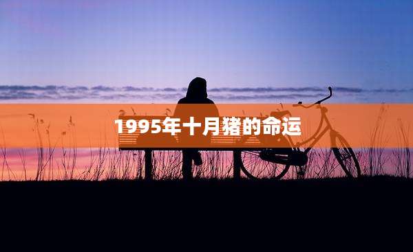1995年十月猪的命运