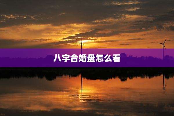八字合婚盘怎么看
