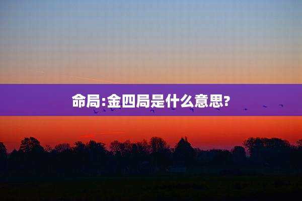 命局:金四局是什么意思?