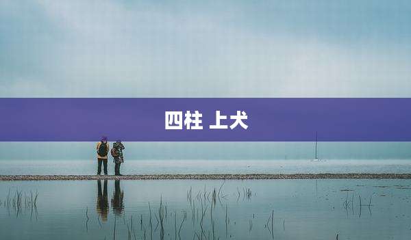 四柱 上犬