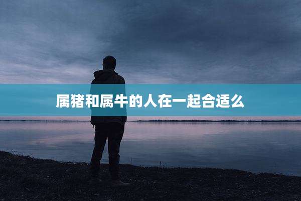 属猪和属牛的人在一起合适么
