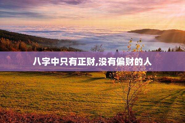 八字中只有正财,没有偏财的人