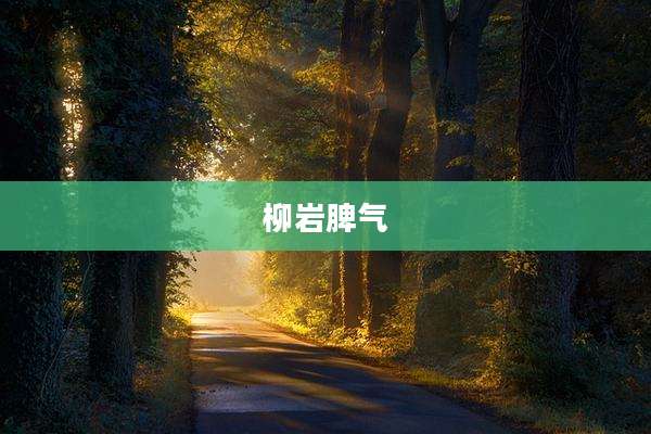 柳岩脾气