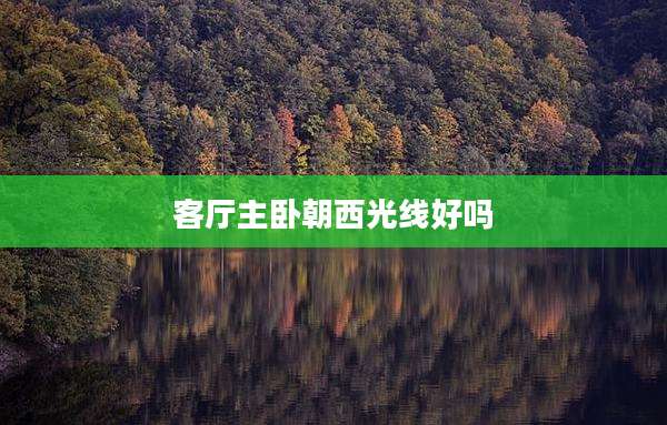 客厅主卧朝西光线好吗