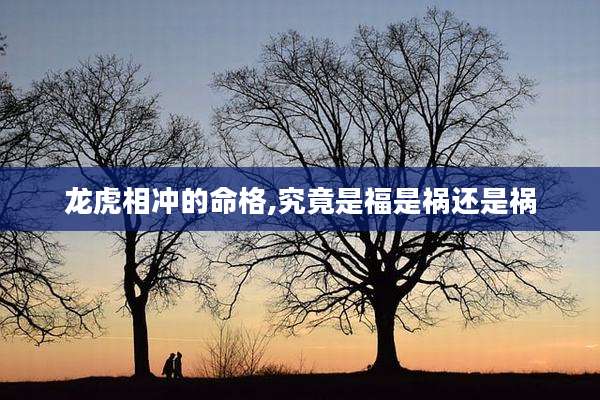 龙虎相冲的命格,究竟是福是祸还是祸