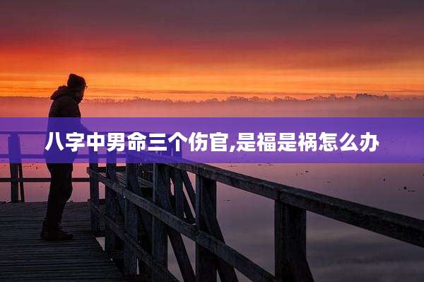 八字中男命三个伤官,是福是祸怎么办