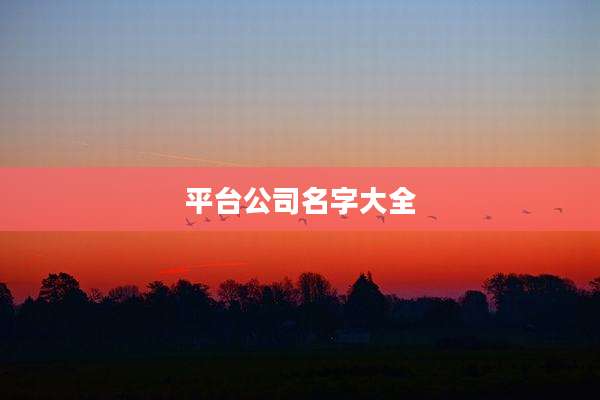 平台公司名字大全