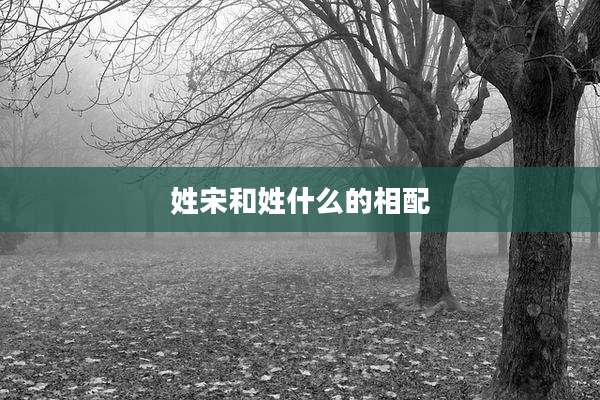 姓宋和姓什么的相配