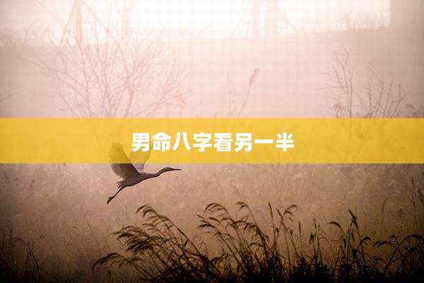 男命八字看另一半