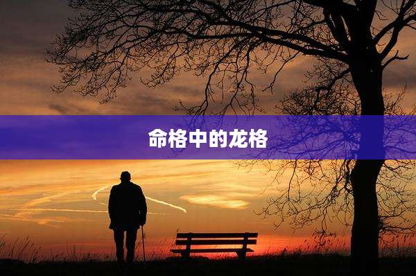 命格中的龙格