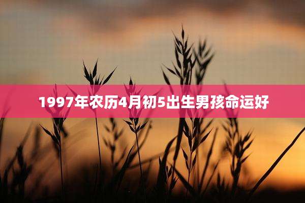 1997年农历4月初5出生男孩命运好