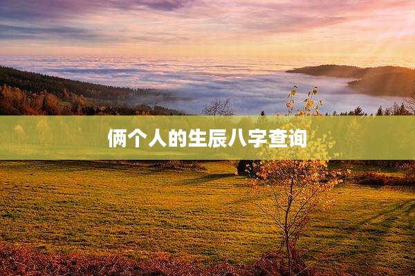 俩个人的生辰八字查询