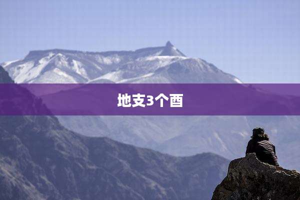 地支3个酉