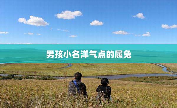 男孩小名洋气点的属兔